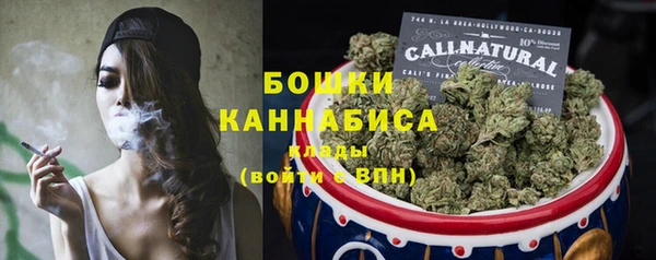 PSILOCYBIN Аркадак
